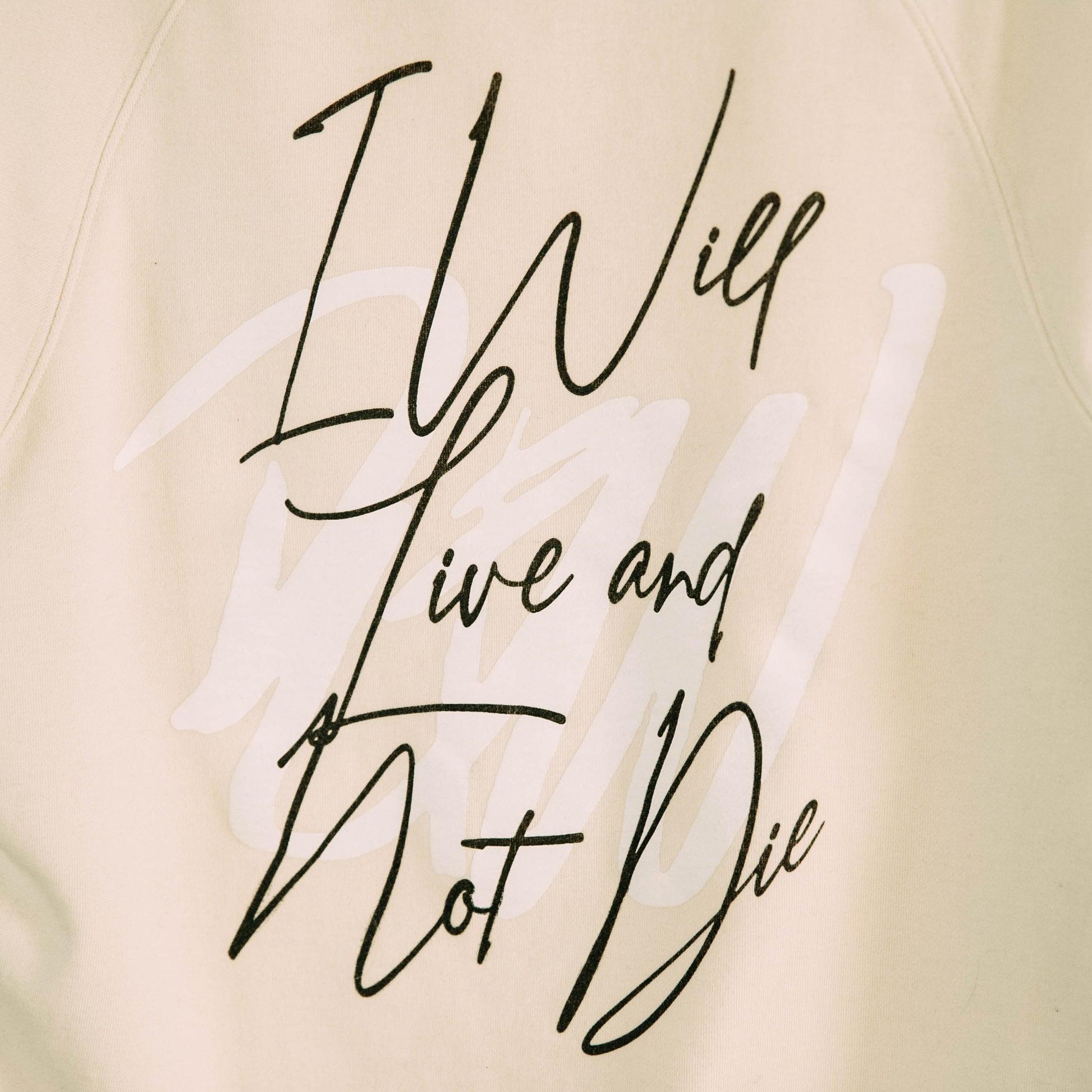 Detail shot of the back of the I Will Live Not Sweatshirt in a living room
